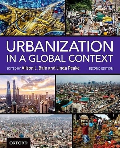 Urbanization in a Global Context