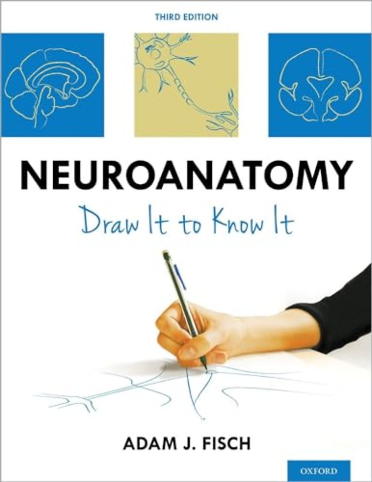 Neuroanatomy