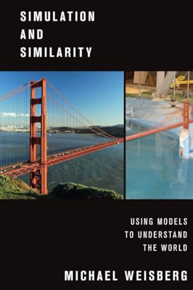 Simulation and Similarity
