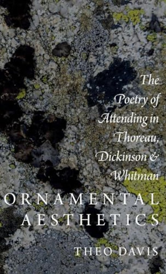 Ornamental Aesthetics