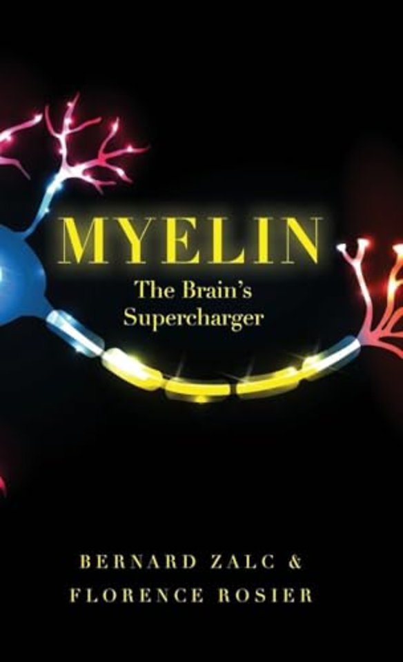 Myelin