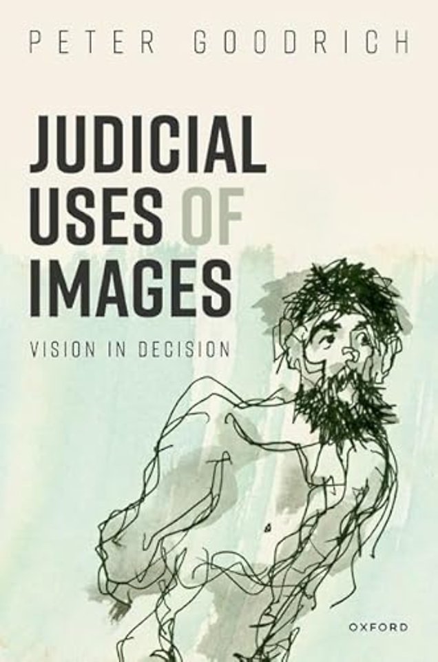 Judicial Uses of Images
