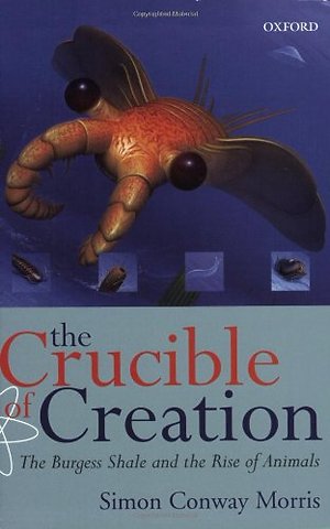 The Crucible of Creation