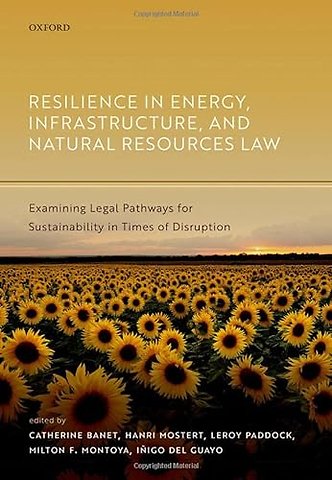 Resilience in Energy, Infrastructure, and Natural Resources Law