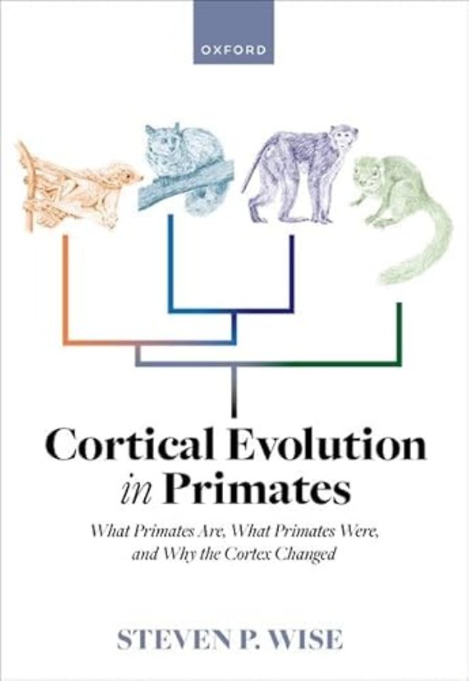 Cortical Evolution in Primates