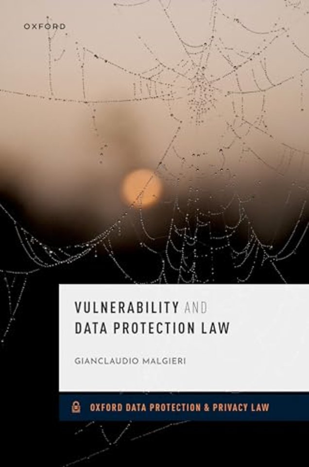 Vulnerability and Data Protection Law