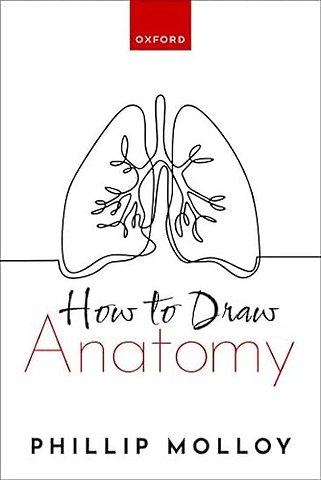 How To Draw Anatomy