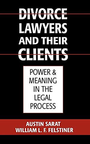 Divorce Lawyers and Their Clients