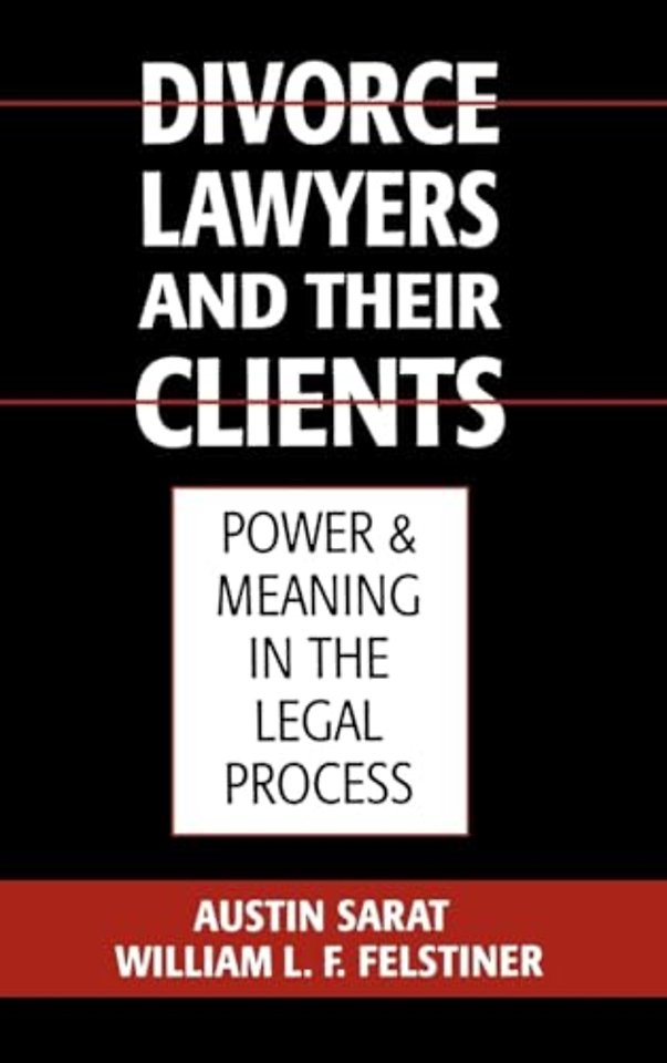 Divorce Lawyers and Their Clients