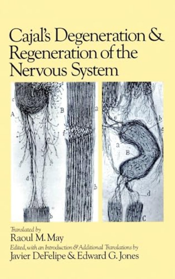 Cajal's Degeneration and Regeneration of the Nervous System