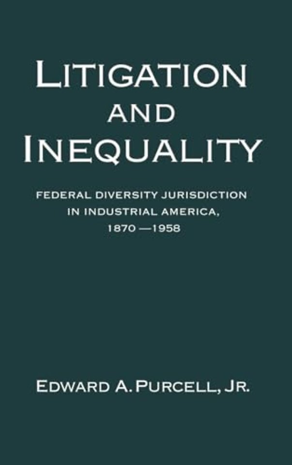 Litigation and Inequality