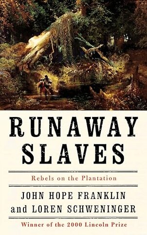 Runaway Slaves