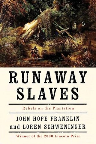 Runaway Slaves