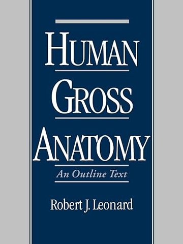 Human Gross Anatomy
