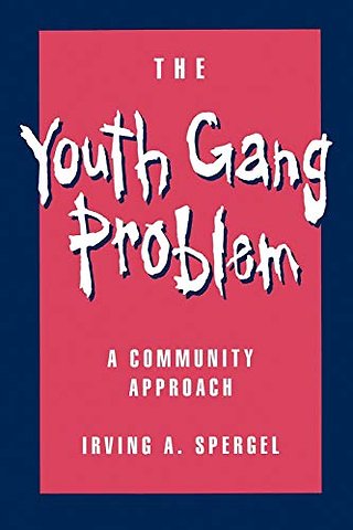 The Youth Gang Problem