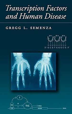 Transcription Factors and Human Disease