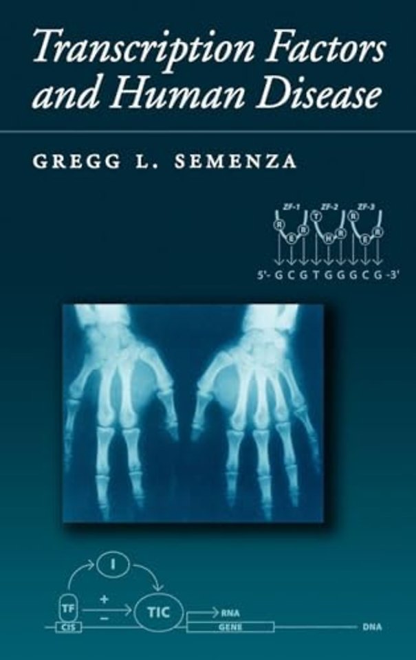 Transcription Factors and Human Disease