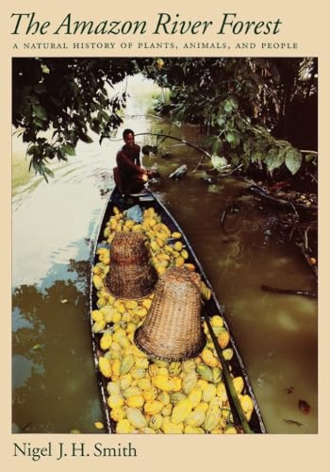 The Amazon River Forest