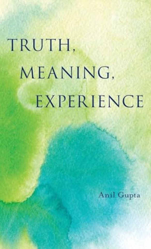 Truth, Meaning, Experience
