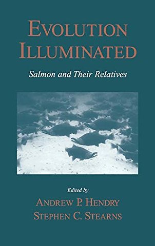 Evolution Illuminated