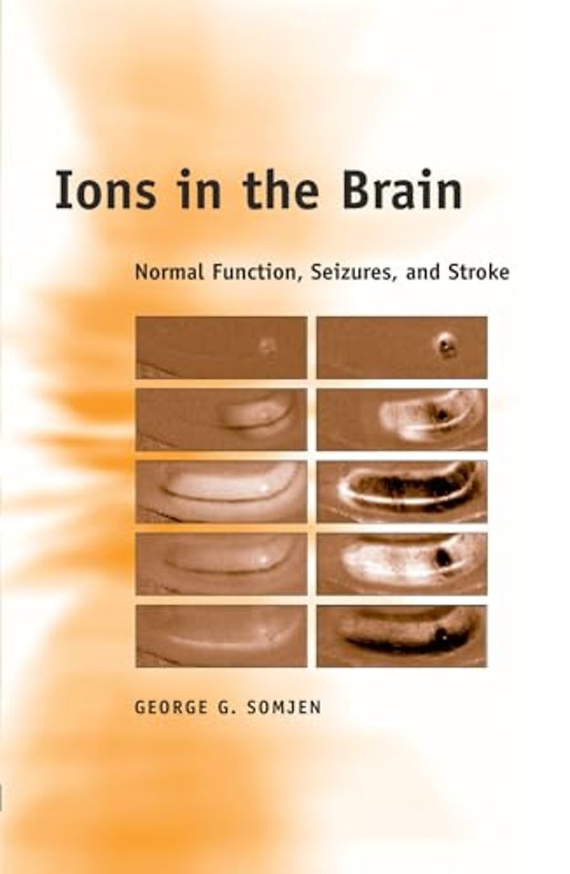 Ions in the Brain