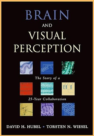 Brain and Visual Perception