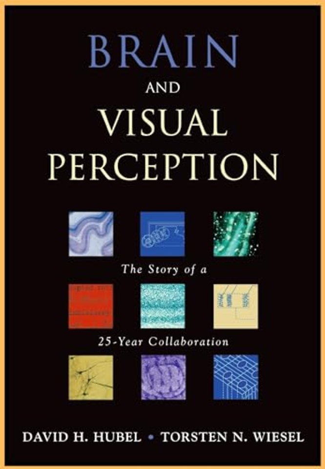 Brain and Visual Perception