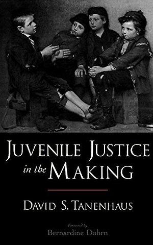 Juvenile Justice in the Making