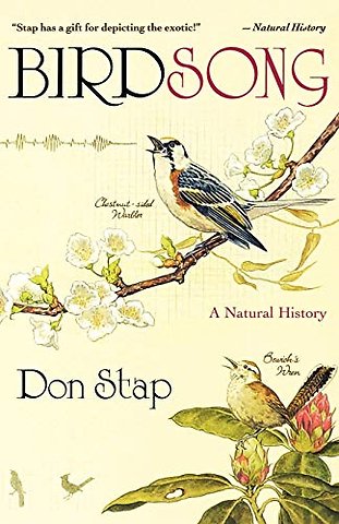 Birdsong