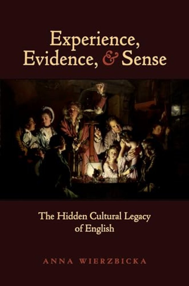 Experience, Evidence, and Sense