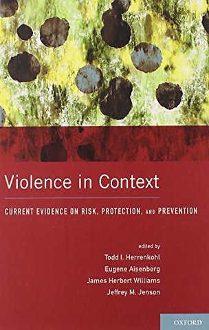 Violence in Context