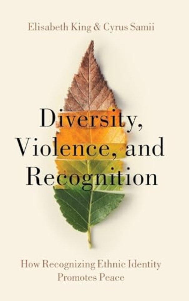 Diversity, Violence, and Recognition
