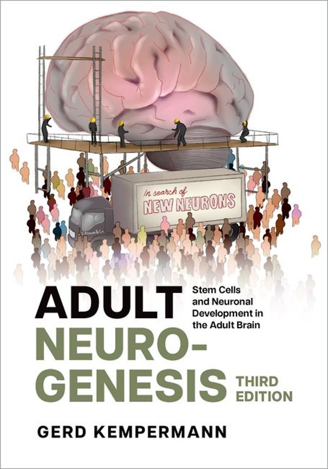 Adult Neurogenesis