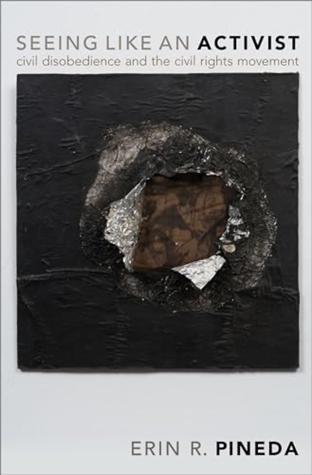 Seeing Like an Activist