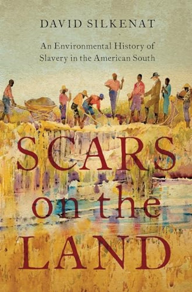 Scars on the Land