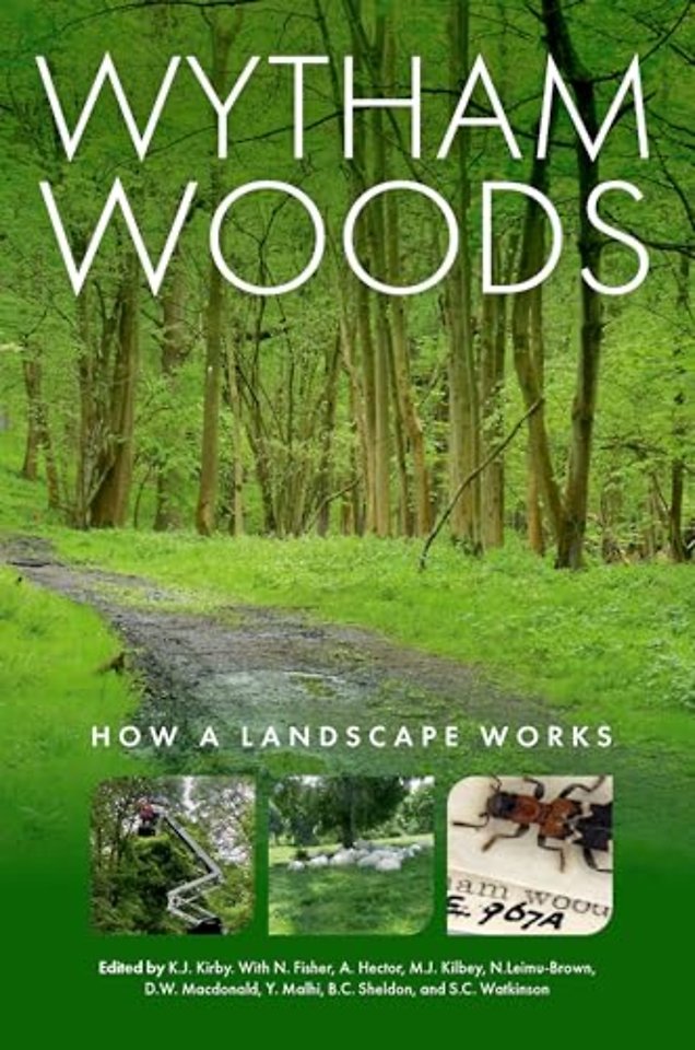 Wytham Woods