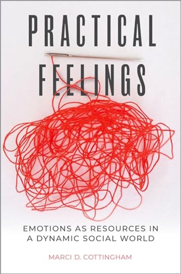 Practical Feelings