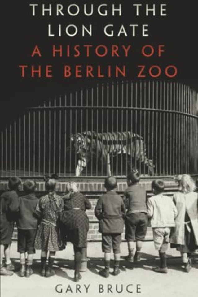 Through the Lion Gate