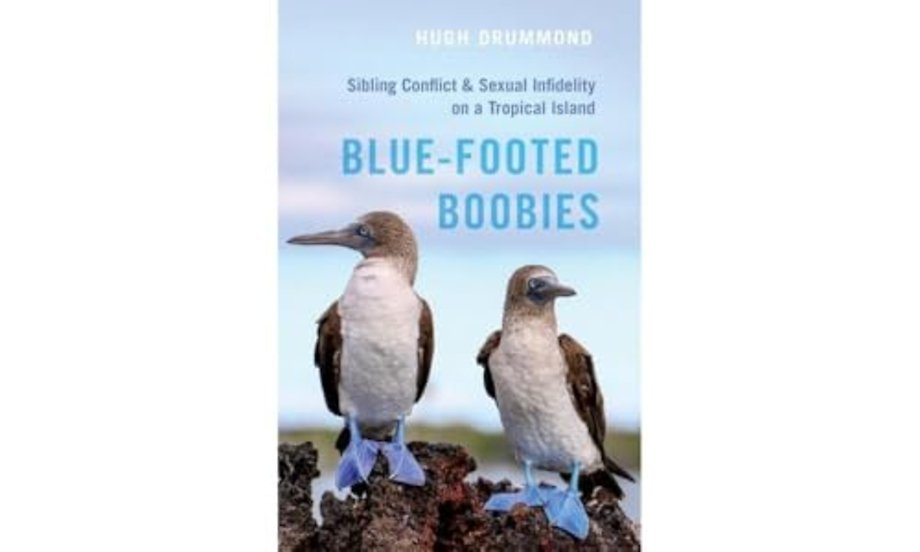 Blue-Footed Boobies