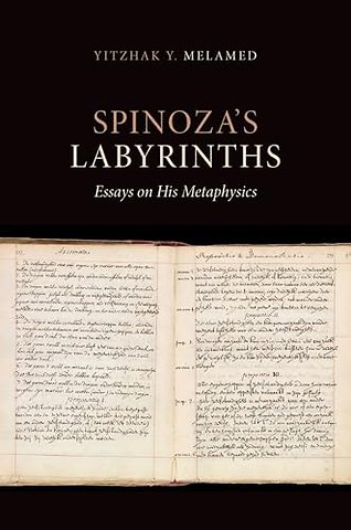 Spinoza's Labyrinths