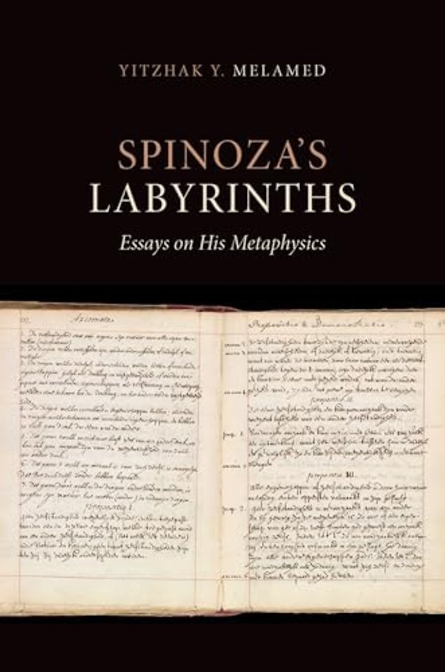 Spinoza's Labyrinths