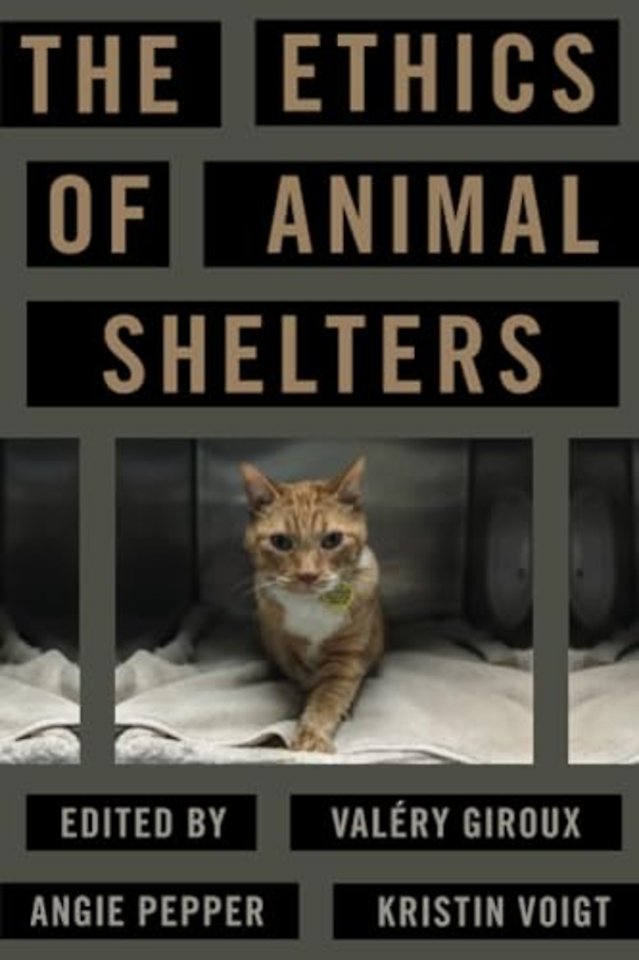 The Ethics of Animal Shelters