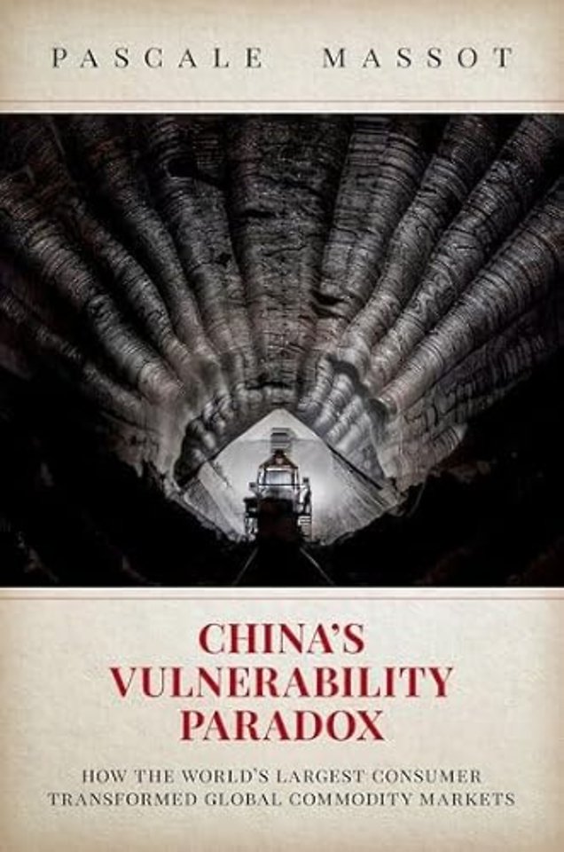 China's Vulnerability Paradox
