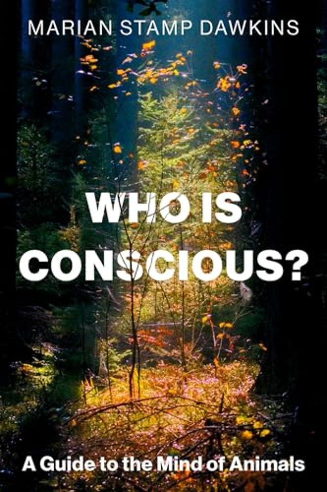 Who is Conscious?