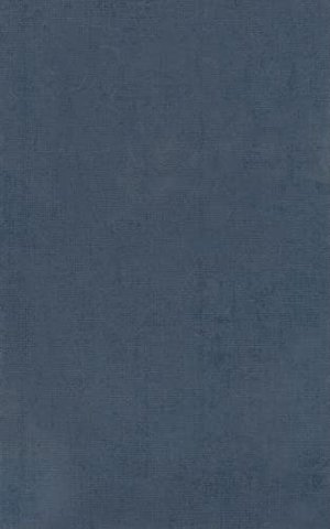 Homer Vol. II. Iliad (Books XIII-XXIV)