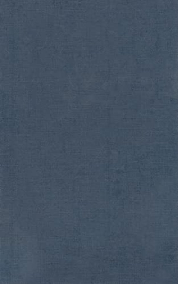 Homer Vol. II. Iliad (Books XIII-XXIV)