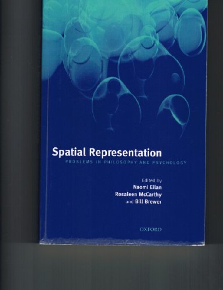 Spatial Representation