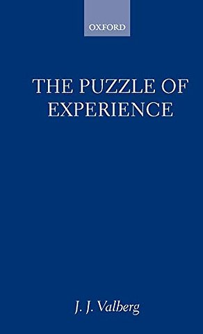 The Puzzle of Experience
