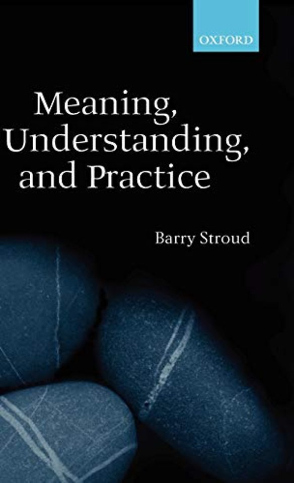 Meaning, Understanding, and Practice