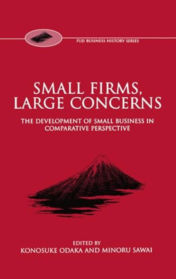 Small Firms, Large Concerns
